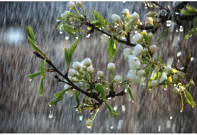 Днес облачността ще бъде предимно значителна с валежи от дъжд