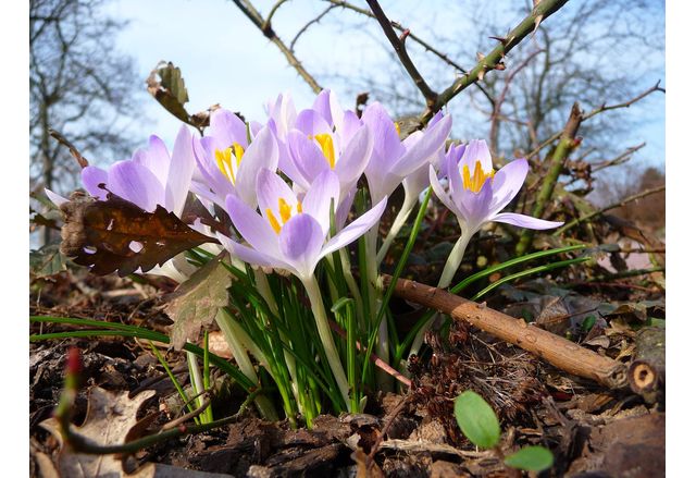 Днес ще бъде предимно слънчево и почти тихо Максималните температури