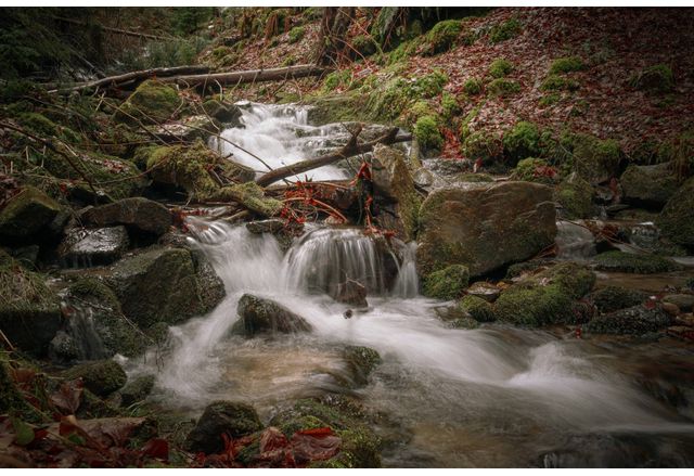 За четиринадесета поредна година Астрономическа обсерватория при Младежки център –