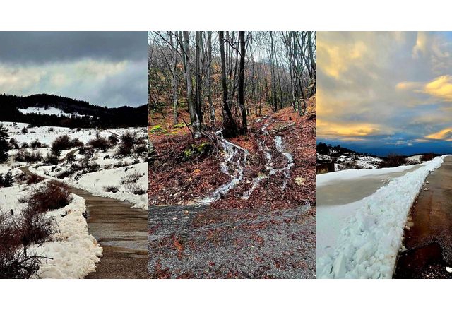 Пътната обстановка в община Асеновград