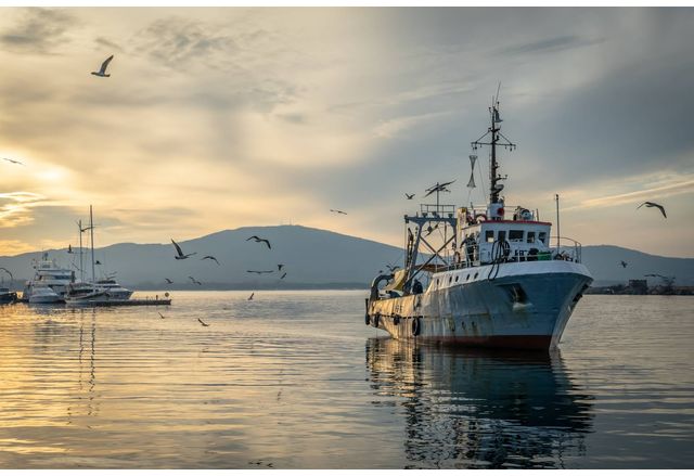 Задържаните български риболовни кораби остават в пристанище Констанца Част от