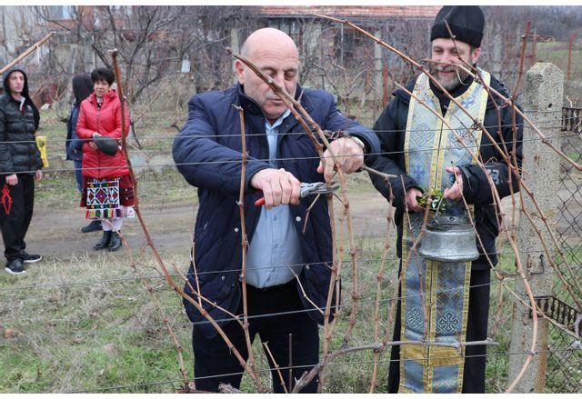 Ритуално зарязаха лозите за здраве и берекет в Твърдица