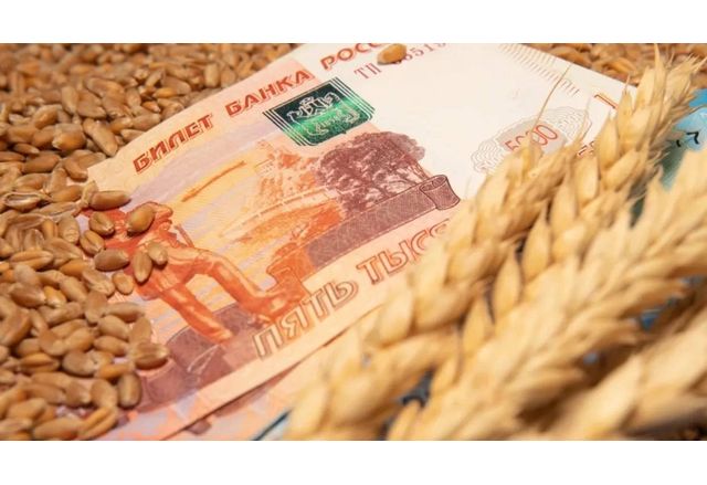 Най големият проблем на зърнения пазар е руското зърно тъй