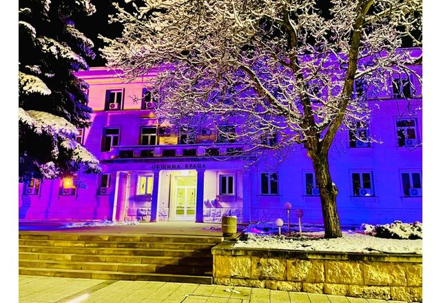Сградата на община Враца - осветена в различни цветове, които символизират редките болести