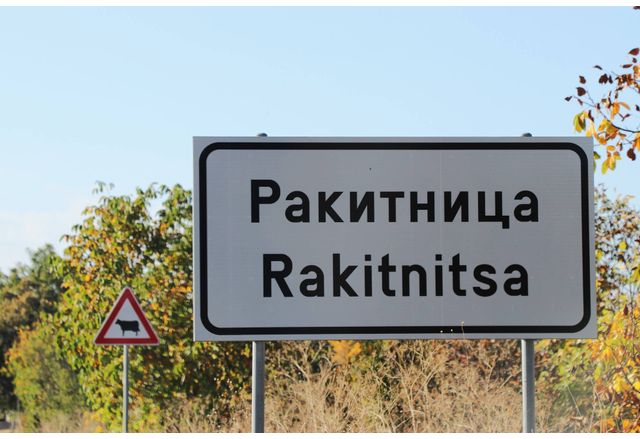 Село Ракитница