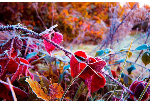 Днес над повечето райони ще преобладава слънчево време Ще има