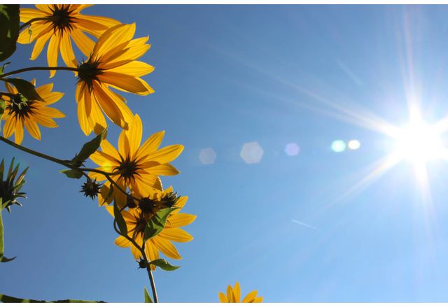 Днес ще преобладава слънчево време Главно над Източна България ще