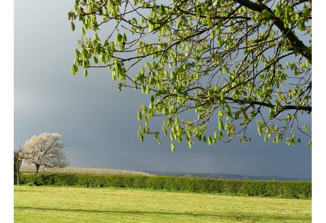 Днес ще преобладава слънчево време От юг югозапад облачността ще се