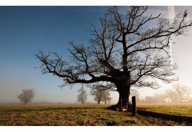 През втората половина на нощта над по голямата част от страната