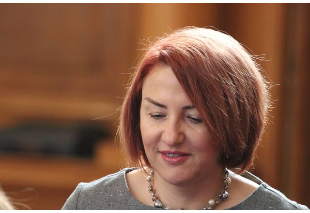 Снежана Апостолова, ПП