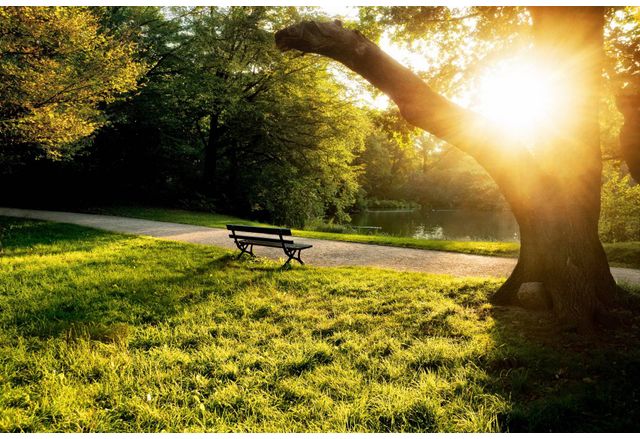 Днес ще преобладава слънчево време с временни увеличения на облачността