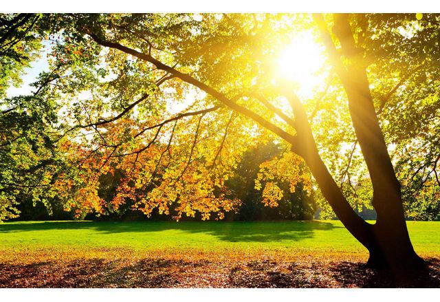 Днес над Дунавската равнина ще преобладава слънчево време Над останалата