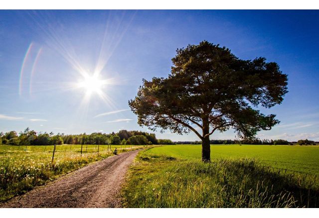 Днес преди обяд ще бъде предимно слънчево Около и следобед