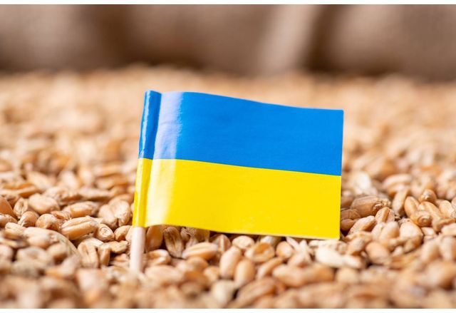 България обмисля забрана за внос на украинско зърно каквато вече