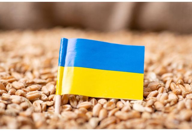Износът на зърно и маслодайни семена от Украйна може да
