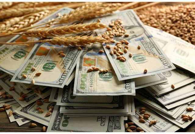 Цените на повечето основни зърнени стоки по световните борси се