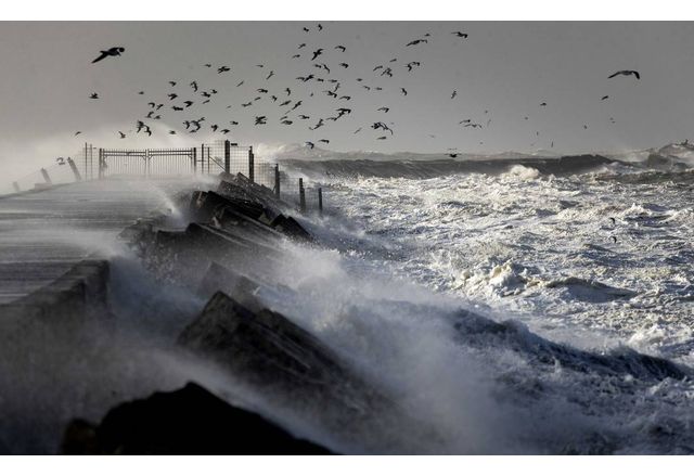 В 11 10 часа днес от Брегови център – Варна постъпва