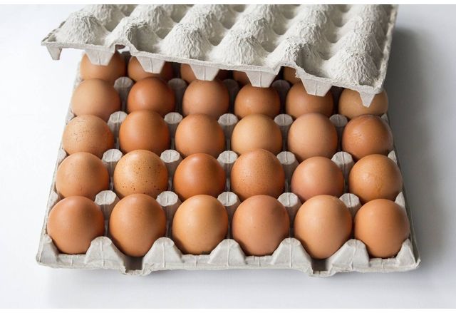 През март 2025 г цената на яйцата в ЕС е