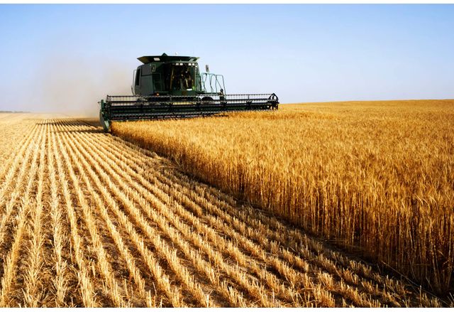 Финландското правителство ще отпусне 300 милиона евро на земеделците в