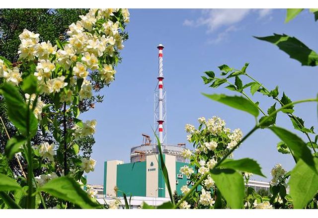 Плановият ремонт на 5 блок на АЕЦ Козлодуй приключи съобщават