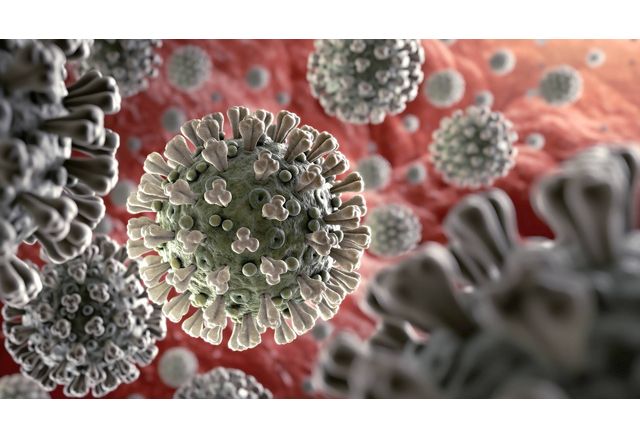 Новите случаи на коронавирус са 544 Направени са 4966 теста