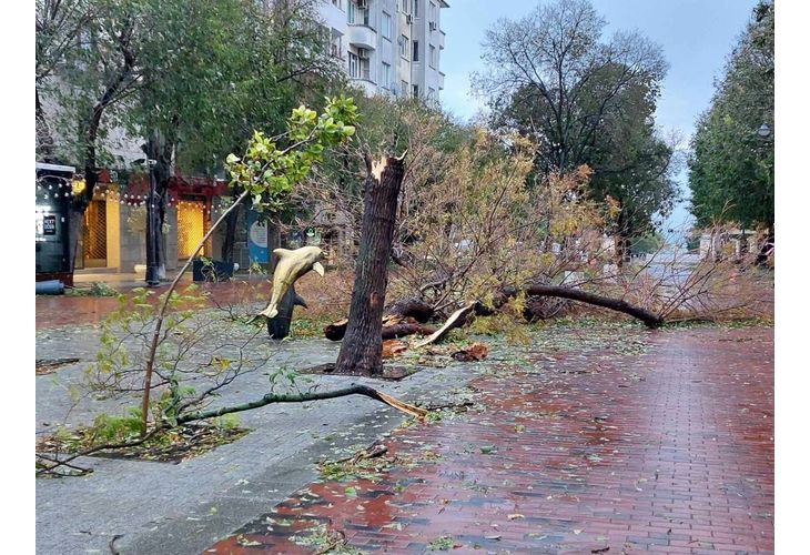 Във Варна обявиха бедствено положение заради бурята, която отне човешки