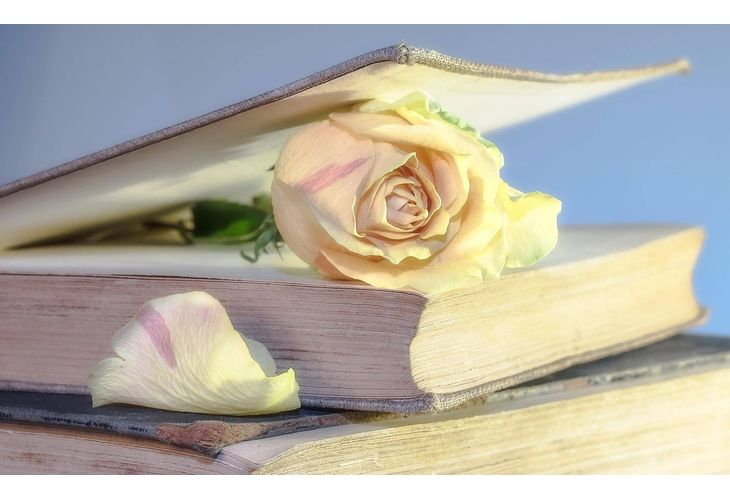 Книги Книги