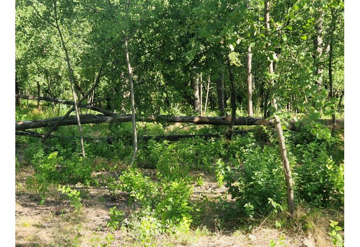 Пожарникари и граждани с общи усилия овладяха последствията от бурята в Нова Загора Пожарникари и граждани с общи усилия овладяха последствията от бурята в Нова Загора