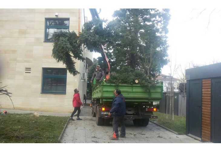 Всички служители на БКС са ангажирани с почистването на града`