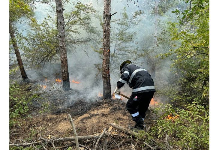 Горски пожар