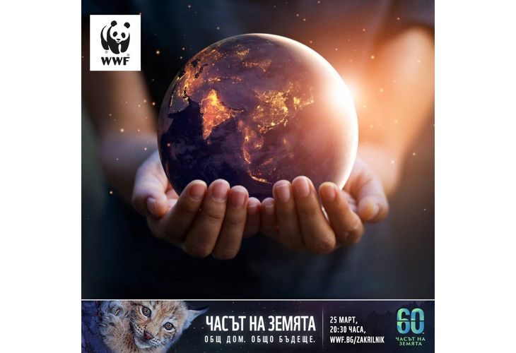 Глобална инициатива "Часът на Земята"