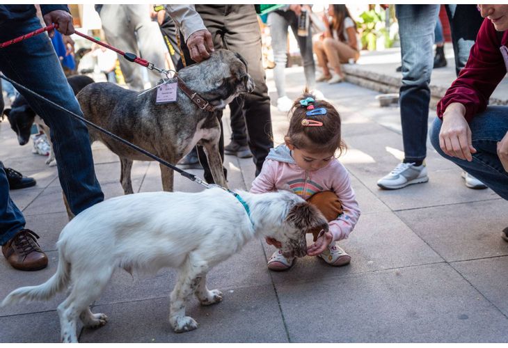 "Гурме с куче и за куче" е поредното събитие от кампанията "Капана дог"