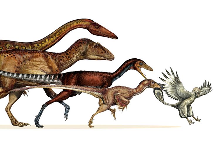 Китайски учени се опитват да докажат връзката между динозавър и птици