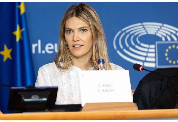 Делегираните пълномощия на заместник-председателката на Европейския парламент Ева Кайли, срещу