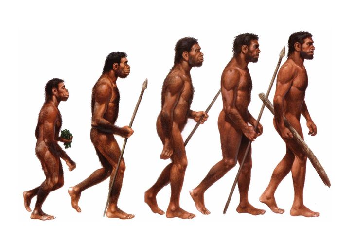 Еволюция на човека