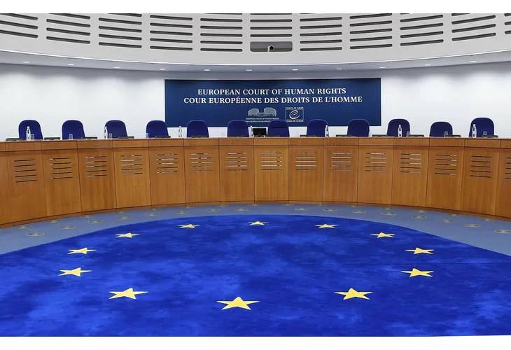 Европейски съд за правата на човека (ЕСПЧ)