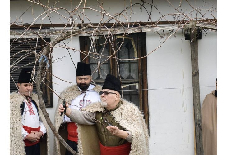 Зарязване на лозата