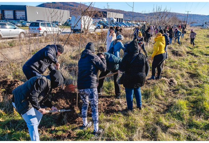 Засадени са още 500 дървета и храсти във Враца Засадени са още 500 дървета и храсти във Враца