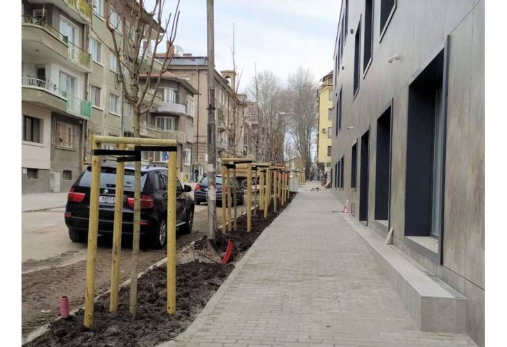 Засадиха още млади дървета в Бургас