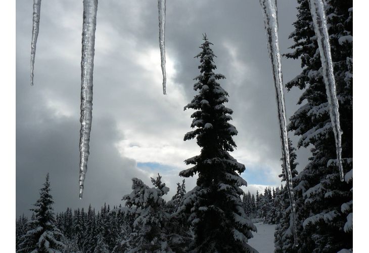 Зима, лед, ледени висулки, студено време