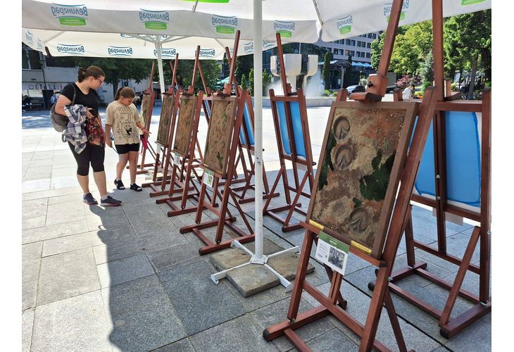 Изложбата "Следи от изчезване" вече е във Велинград