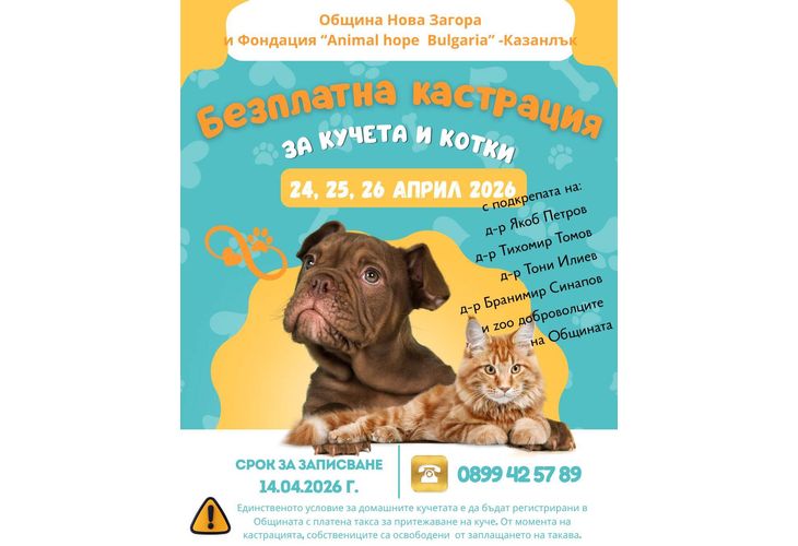 Община Нова Загора обявява кампания за безплатна кастрация на домашни кучета и котки