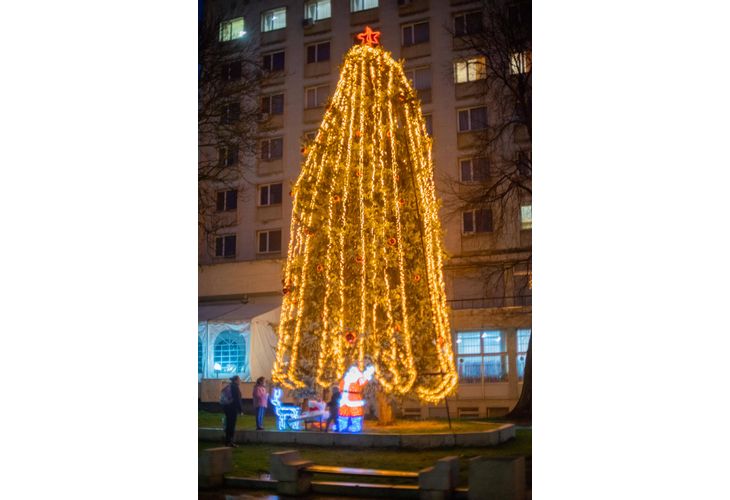 Коледната елха в Мездра