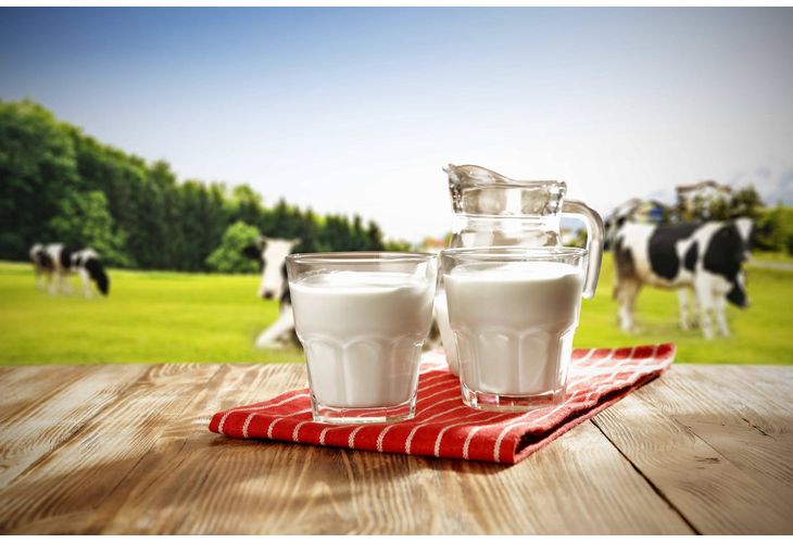 Очакват се фалити на ферми в сектора на млекопроизводството. Заради