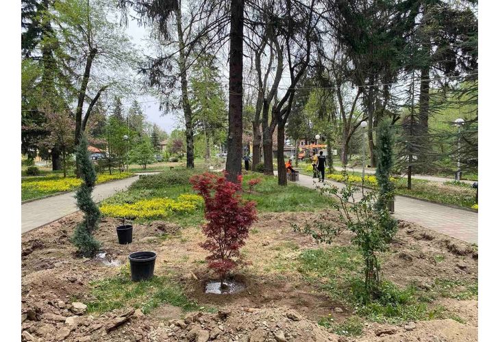 Снимка: Нови дръвчета бяха засадени в парк "Клептуза" във Велинград