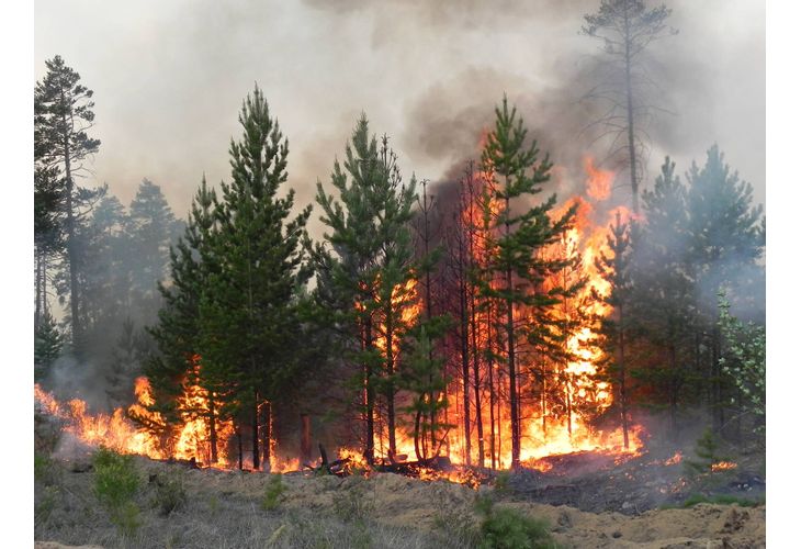 Все още се търсят причините за пожара в Свиленградско, който