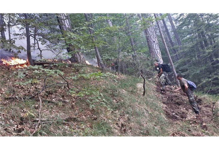Продължава гасенето на пожара над село Югово в Родопите с участието на военнослужещи