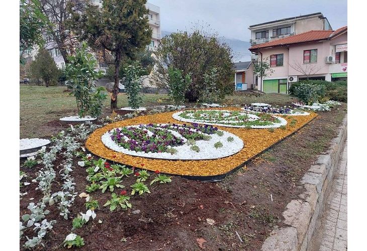 Общината продължава да зацветява градински площи в Карлово. Оформено е