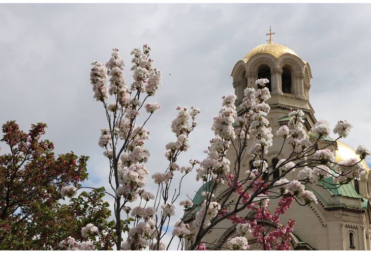 Катедрала "Св. Ал. Невски"