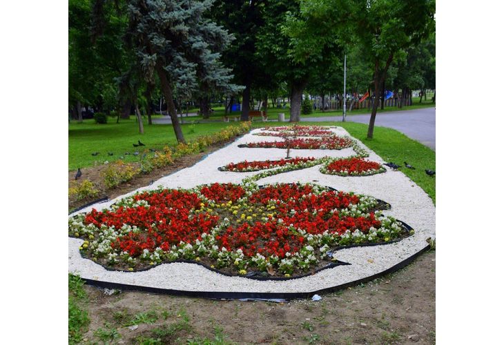 Пъстър килим от цветя привлича погледите в Градския парк на Асеновград 